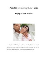 Phân biệt sốt xuất huyết, tay - chân miệng và cúm A/H1N1 pps