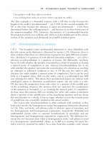 The grammar of the english verb phrase part 13 ppt