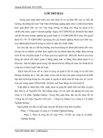 Công tác kế toán Nguyên Vật Liệu – Công Cụ Dụng Cụ ở công ty Cổ phần Nghiệp Quảng