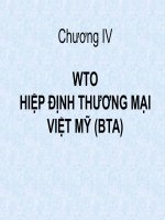 Chương IV: WTO HIỆP ĐỊNH THƯƠNG MẠI VIỆT MỸ (BTA) pps