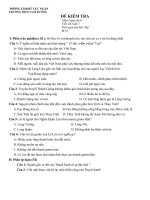 Bo de Van 6 - hayHKI