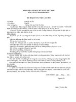 kế hoạch việc làm mới