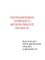 thuyết trình ngăn ngừa khủng hoảng tài chính quốc tế, một chương trình cải tổ chưa hoàn tất