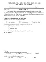 DE THI GIƯA KI II- TIENG VIET I NAM HOC 09-10