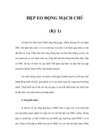 HẸP EO ĐỘNG MẠCH CHỦ (Kỳ 1) pdf