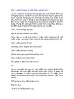 Hiểu và giải thích cụm từ ‘chín chiều ‘ ppsx