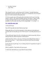 Graphic-Multimedia part 5 pot