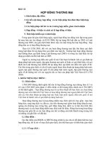 hợp đồng thương mại