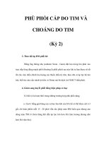 PHÙ PHỔI CẤP DO TIM VÀ CHOÁNG DO TIM (Kỳ 2) potx