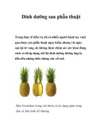 Dinh dưỡng sau phẫu thuật pot