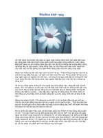 Đóa hoa khát vọng