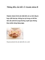 Những điều cần biết về vitamin nhóm B pdf