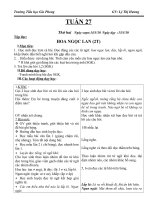 GIAO AN LOP 1- TUAN 27(CKTKN)