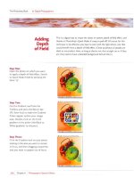 The Photoshop Book for Digital Photographers- P10 docx