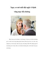 Nguy cơ mờ mắt đột ngột vì bệnh võng mạc tiểu đường pot