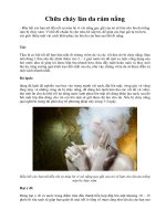 Chữa cháy làn da rám nắng ppsx