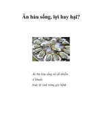 Ăn hàu sống, lợi hay hại? docx