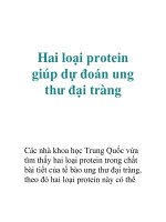 Hai loại protein giúp dự đoán ung thư đại tràng pot