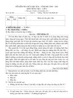 Đề KT GHKII TV 4 09-10