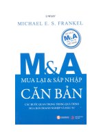 m & a căn bản - mua lại và sát nhập căn bản