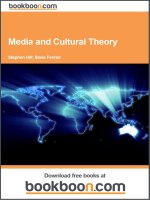 media and cultural theory