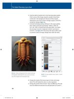 The Adobe Photoshop Layers Book- P8 ppt