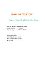 Báo cáo thực tập 