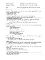 Đề thi HSG lớp 5- TV