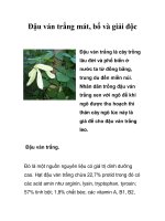 Đậu ván trắng mát, bổ và giải độc pptx