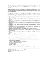 The final strategy (13 03 03)