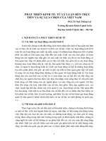 Phát triển kinh tế: từ lý luận đến thực tiễn và sự lựa chọn của việt nam ppt