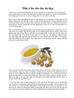 Dầu ô liu cho làn da đẹp pptx