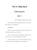 Vữa xơ động mạch (Atherosclerosis) (Kỳ 1) pot