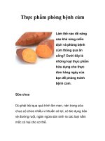 Thực phẩm phòng bệnh cúm pdf