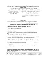 Mẫu báo cáo về nhập khẩu và sử dụng phế liệu nhập khẩu năm ....... pdf