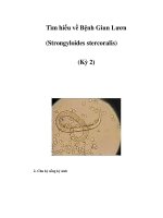 Tìm hiểu về Bệnh Giun Lươn (Strongyloides stercoralis) (Kỳ 2) ppsx