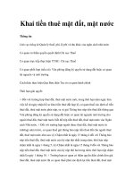 Khai tiền thuê mặt đất, mặt nước pps