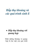 Hấp thụ khoáng và các quá trình sinh lí pps