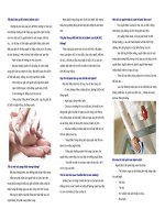 Tôi phải làm gì để tránh bị bệnh cúm? pdf