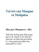 Vai trò của Mangan và Molipden ppsx