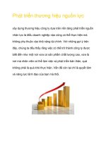 Phát triển thương hiệu nguồn lực docx