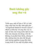 Bưởi không gây ung thư vú docx