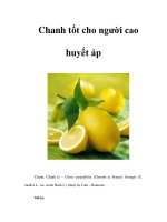Chanh tốt cho người cao huyết áp pdf