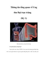 Thông tin tổng quan về Ung thư Đại trực tràng (Kỳ 1) pot