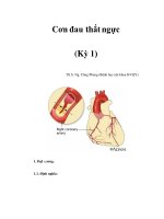 Cơn đau thắt ngực (Kỳ 1) T docx