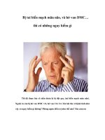 Bị tai biến mạch mãu não, và hở van DMC… thì có những nguy hiểm gì ppt