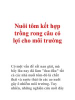 Nuôi tôm kết hợp trồng rong câu có lợi cho môi trường docx