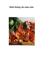 Dinh dưỡng cho mùa cúm docx