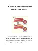 Bị huyết áp cao và xơ vữa động mạch xin hỏi hướng điều trị nào hiệu quả? pptx