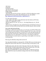 Graphic-Multimedia part 9 potx